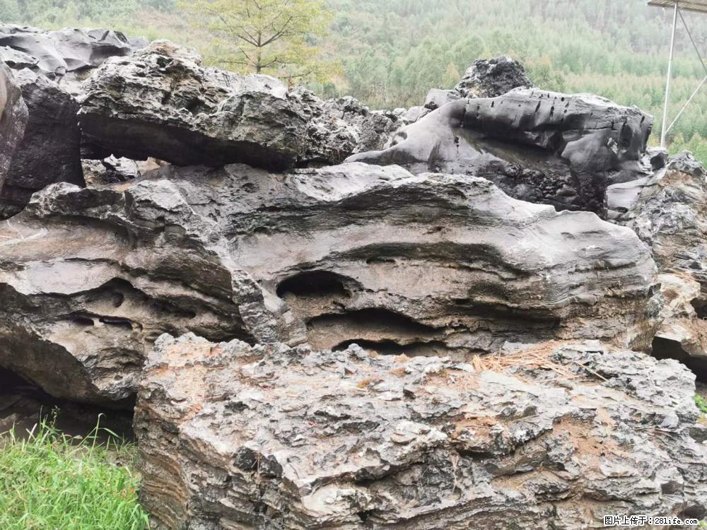风景石、假山石大量有货，有需要的欢迎联系 - 新手上路 - 西双版纳生活社区 - 西双版纳28生活网 bn.28life.net