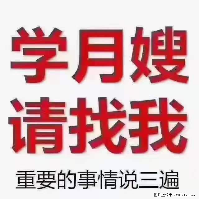 为什么要学习月嫂，育婴师？ - 新手上路 - 西双版纳生活社区 - 西双版纳28生活网 bn.28life.net