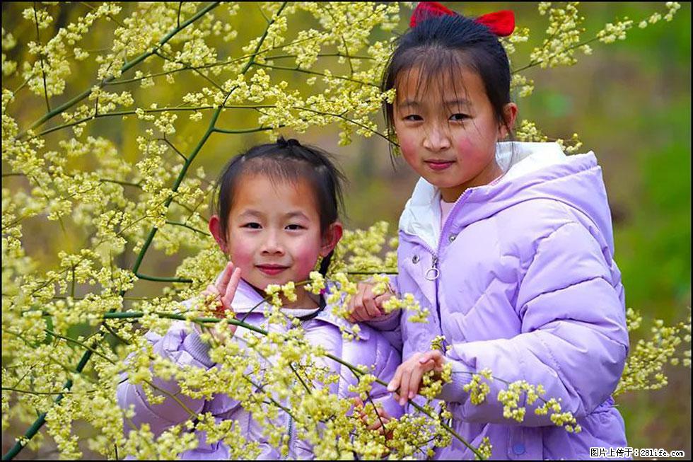 【春天，广西桂林灌阳县向您发出邀请！】米珠山前有片山苍子花在飘香 - 游山玩水 - 西双版纳生活社区 - 西双版纳28生活网 bn.28life.net