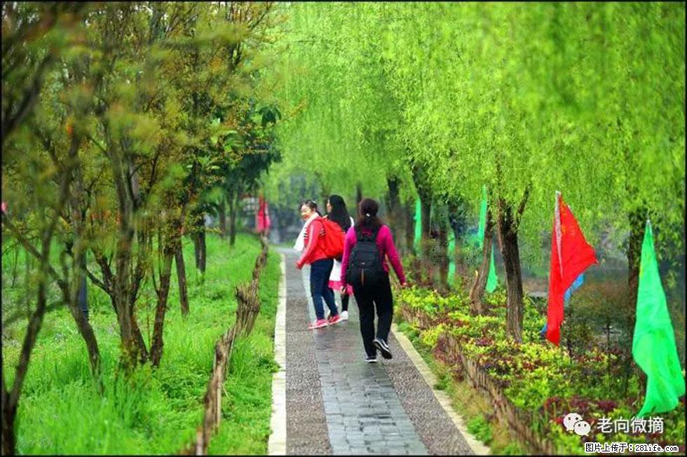 【春天，广西桂林灌阳县向您发出邀请！】江口老街又逢春 - 游山玩水 - 西双版纳生活社区 - 西双版纳28生活网 bn.28life.net