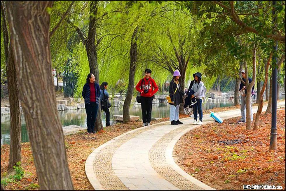 【春天，广西桂林灌阳县向您发出邀请！】江口老街又逢春 - 游山玩水 - 西双版纳生活社区 - 西双版纳28生活网 bn.28life.net