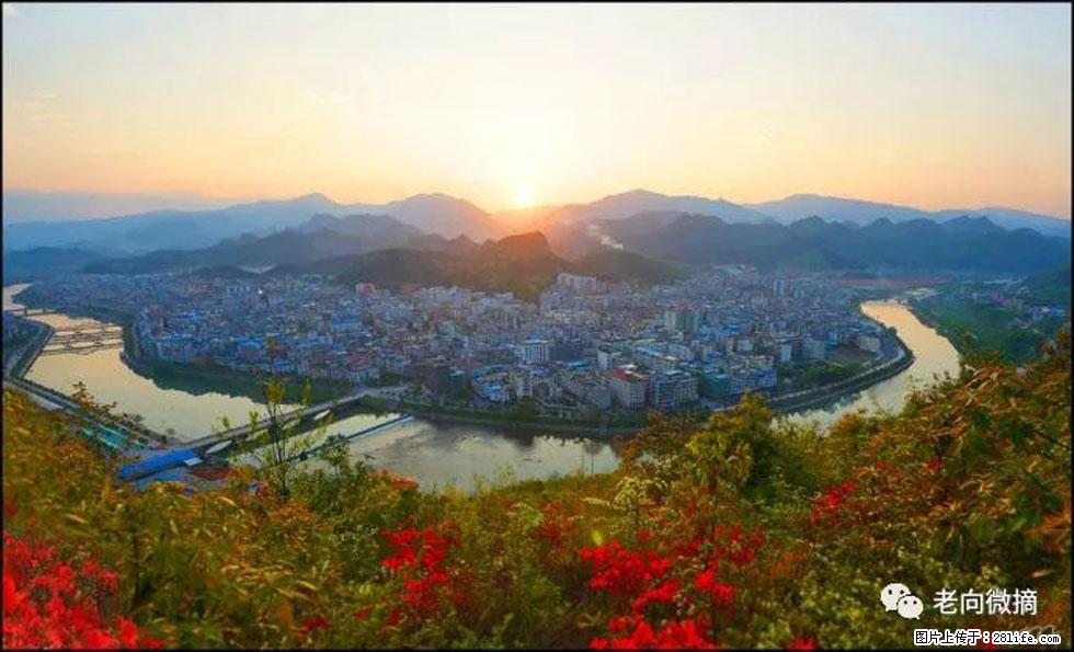 【春天，广西桂林灌阳县向您发出邀请！】登麒麟山，相约映山红 - 游山玩水 - 西双版纳生活社区 - 西双版纳28生活网 bn.28life.net