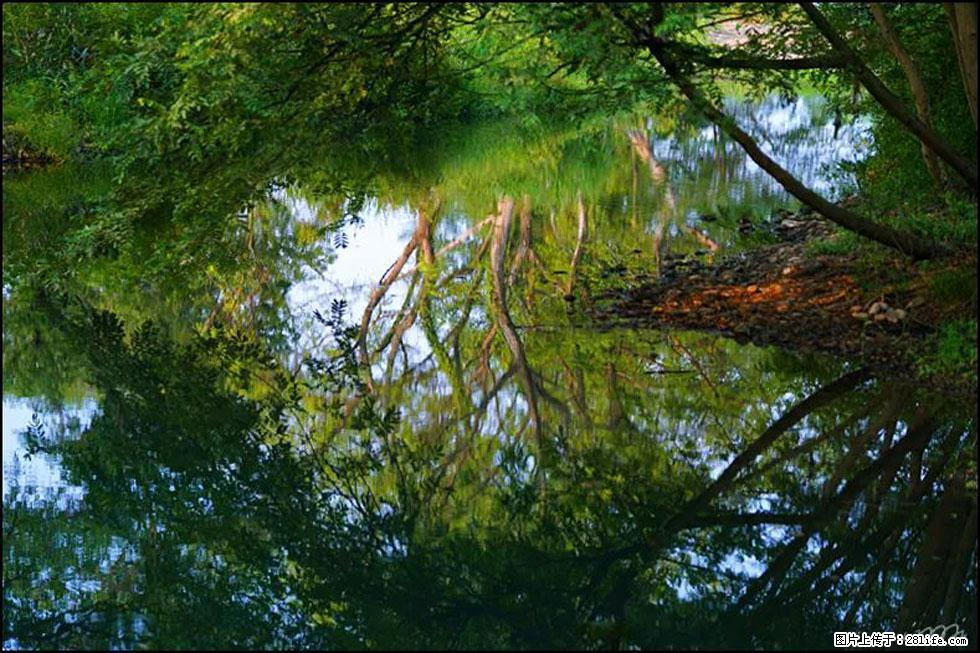 【春天，广西桂林灌阳县向您发出邀请！】熊家寨湿地公园 - 游山玩水 - 西双版纳生活社区 - 西双版纳28生活网 bn.28life.net