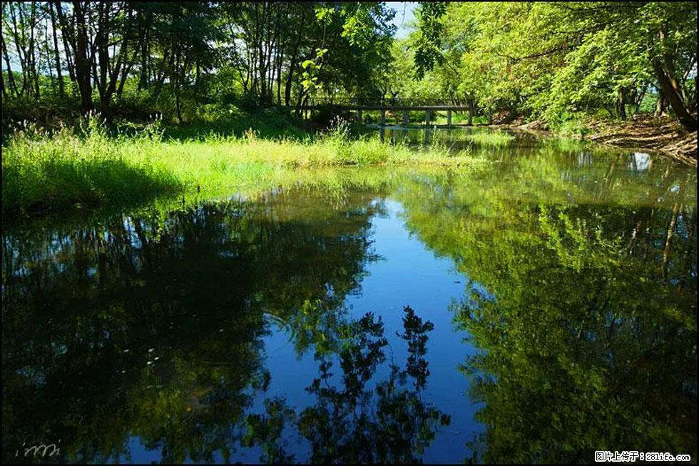 【春天，广西桂林灌阳县向您发出邀请！】熊家寨湿地公园 - 游山玩水 - 西双版纳生活社区 - 西双版纳28生活网 bn.28life.net