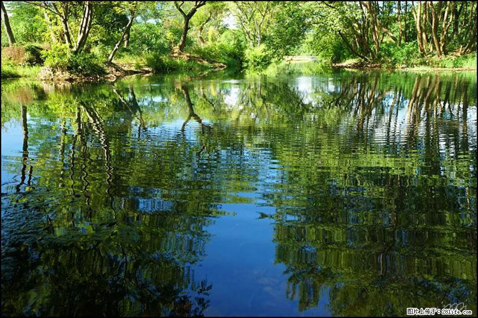 【春天，广西桂林灌阳县向您发出邀请！】熊家寨湿地公园 - 游山玩水 - 西双版纳生活社区 - 西双版纳28生活网 bn.28life.net