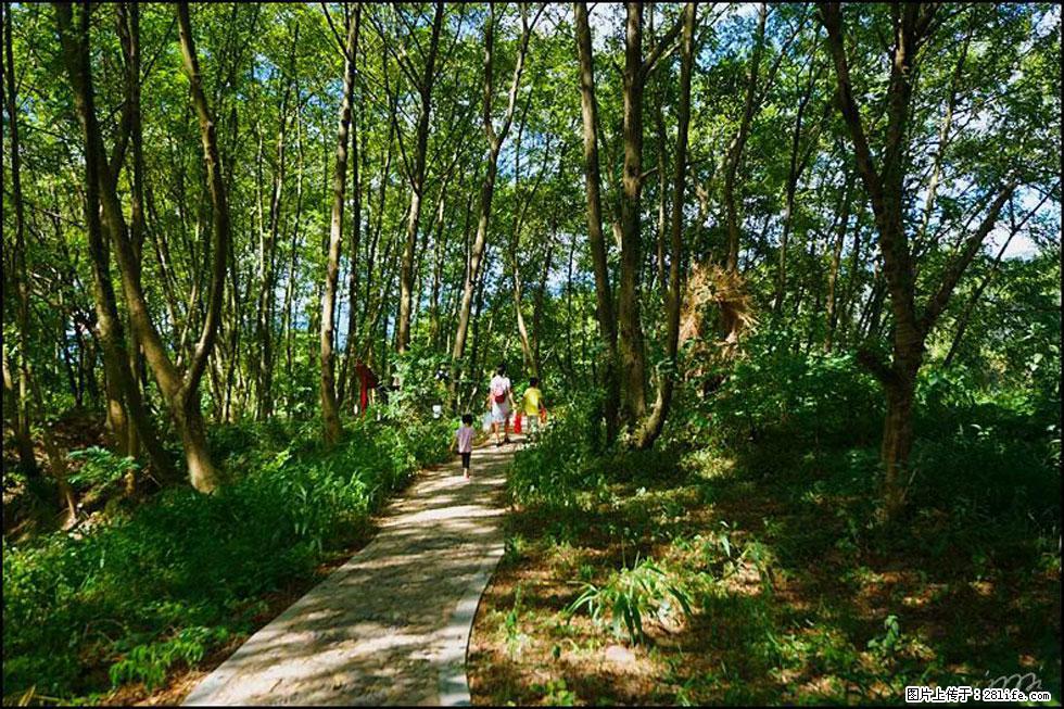 【春天，广西桂林灌阳县向您发出邀请！】熊家寨湿地公园 - 游山玩水 - 西双版纳生活社区 - 西双版纳28生活网 bn.28life.net