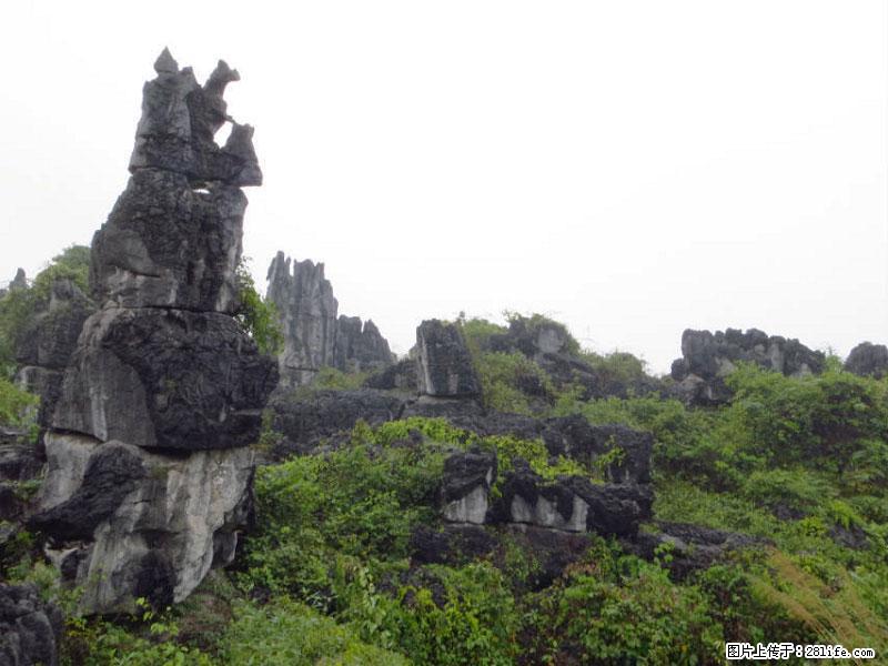 桂林旅游名城景点：灌阳文市石林 - 游山玩水 - 西双版纳生活社区 - 西双版纳28生活网 bn.28life.net