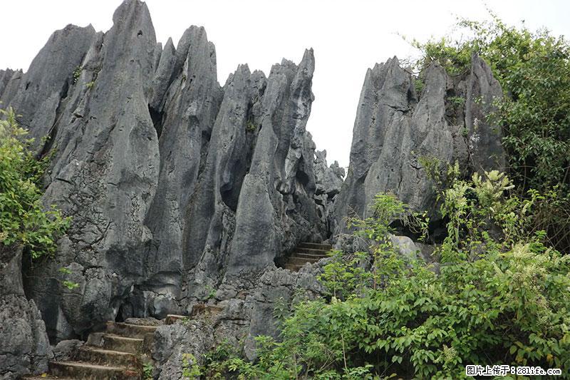 桂林旅游名城景点：灌阳文市石林 - 游山玩水 - 西双版纳生活社区 - 西双版纳28生活网 bn.28life.net