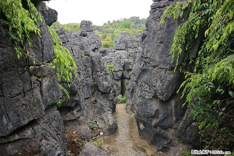 桂林旅游名城景点：灌阳文市石林 - 游山玩水 - 西双版纳生活社区 - 西双版纳28生活网 bn.28life.net