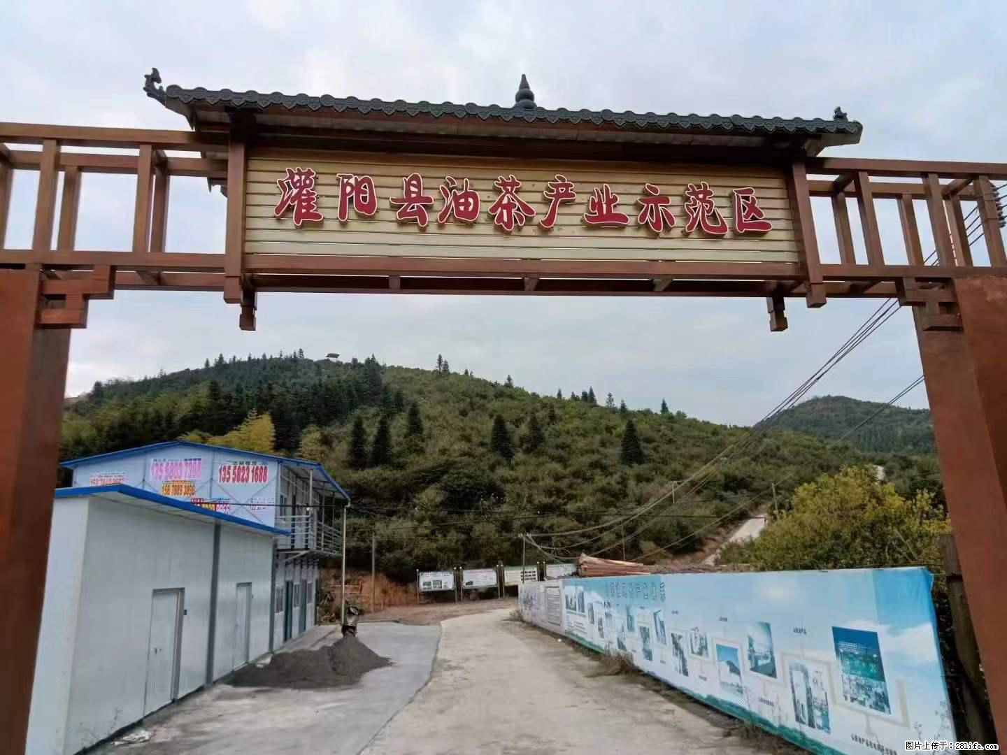 【灌阳县油茶产业示范区】一个有着充实的精神生活的人，对待身外之物自会有一种淡泊的态度 - 美食天地 - 西双版纳生活社区 - 西双版纳28生活网 bn.28life.net