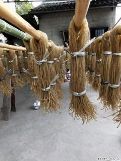 【灌阳正宗红薯粉】美女家里自己做的，干净卫生，假一赔十，价格合理，抢购电话：13737312895 - 西双版纳28生活网 bn.28life.net