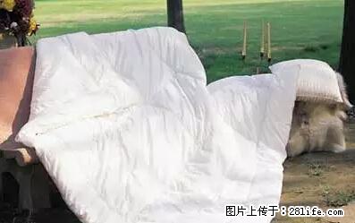 被子有异味？只要这样做，比晒太阳还强100倍！ - 家居生活 - 西双版纳生活社区 - 西双版纳28生活网 bn.28life.net