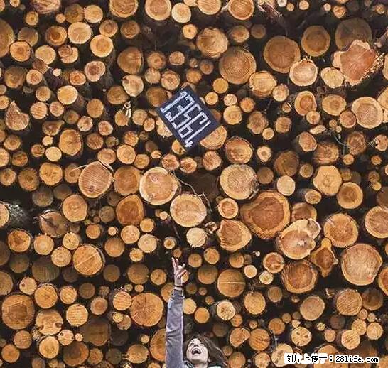 辞掉工作周游世界？现在他们在洗厕所…… - 游山玩水 - 西双版纳生活社区 - 西双版纳28生活网 bn.28life.net