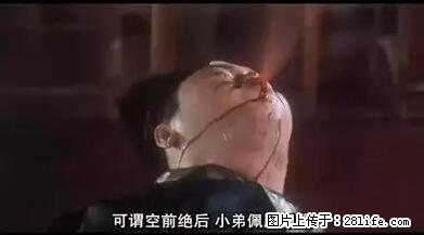 笑癫了！一女的怀孕三年未生，他终于忍不住了... - 娱乐八卦 - 西双版纳生活社区 - 西双版纳28生活网 bn.28life.net