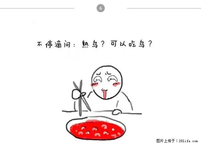 千万不要和这9种哈卵一起吃火锅！ - 美食天地 - 西双版纳生活社区 - 西双版纳28生活网 bn.28life.net
