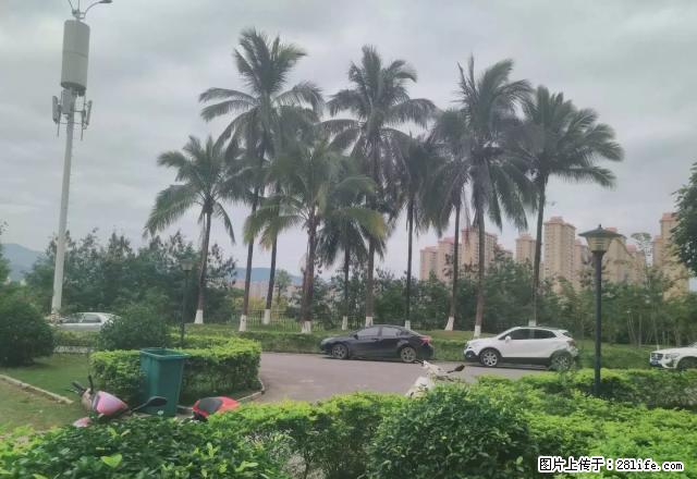 世纪金源福江苑 精装修无家具家电 均价低 房子宽 可办公自住 - 房屋出租 - 房屋租售 - 西双版纳分类信息 - 西双版纳28生活网 bn.28life.net