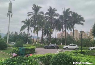 世纪金源福江苑 精装修无家具家电 均价低 房子宽 可办公自住 - 西双版纳28生活网 bn.28life.net