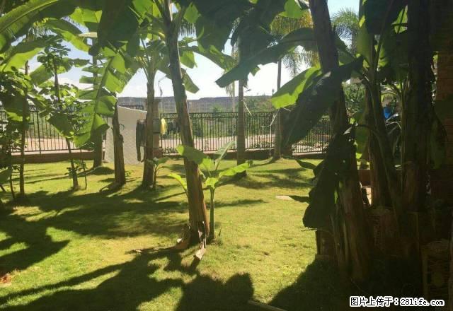 万达精装家具家电！58坪1室1厅可短租 - 房屋出租 - 房屋租售 - 西双版纳分类信息 - 西双版纳28生活网 bn.28life.net
