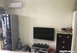 中夏置业 急租市中心 金茂港湾 精装公寓 拎包入住 随时看房 - 西双版纳28生活网 bn.28life.net