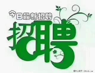 【招聘摄像师】待遇：试用期6000元/月，转正7000元/月+五险一金+餐补+节日福利+奖金 - 西双版纳28生活网 bn.28life.net