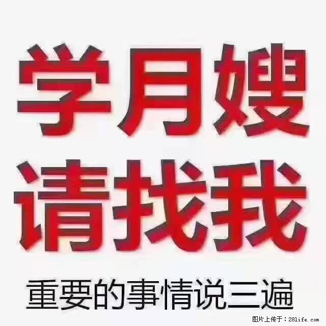 【招聘】月嫂，上海徐汇区 - 职场交流 - 西双版纳生活社区 - 西双版纳28生活网 bn.28life.net