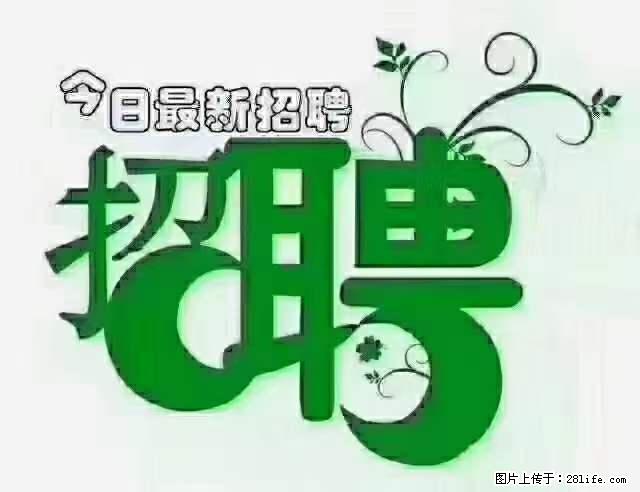 急聘！急聘！上海酒店长期前台，做六休一，每天8小时，6000块钱一月 - 职场交流 - 西双版纳生活社区 - 西双版纳28生活网 bn.28life.net