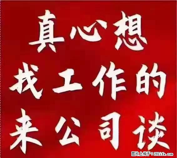 【上海】国企，医院招两名男保安，55岁以下，身高1.7米以上，无犯罪记录不良嗜好 - 职场交流 - 西双版纳生活社区 - 西双版纳28生活网 bn.28life.net