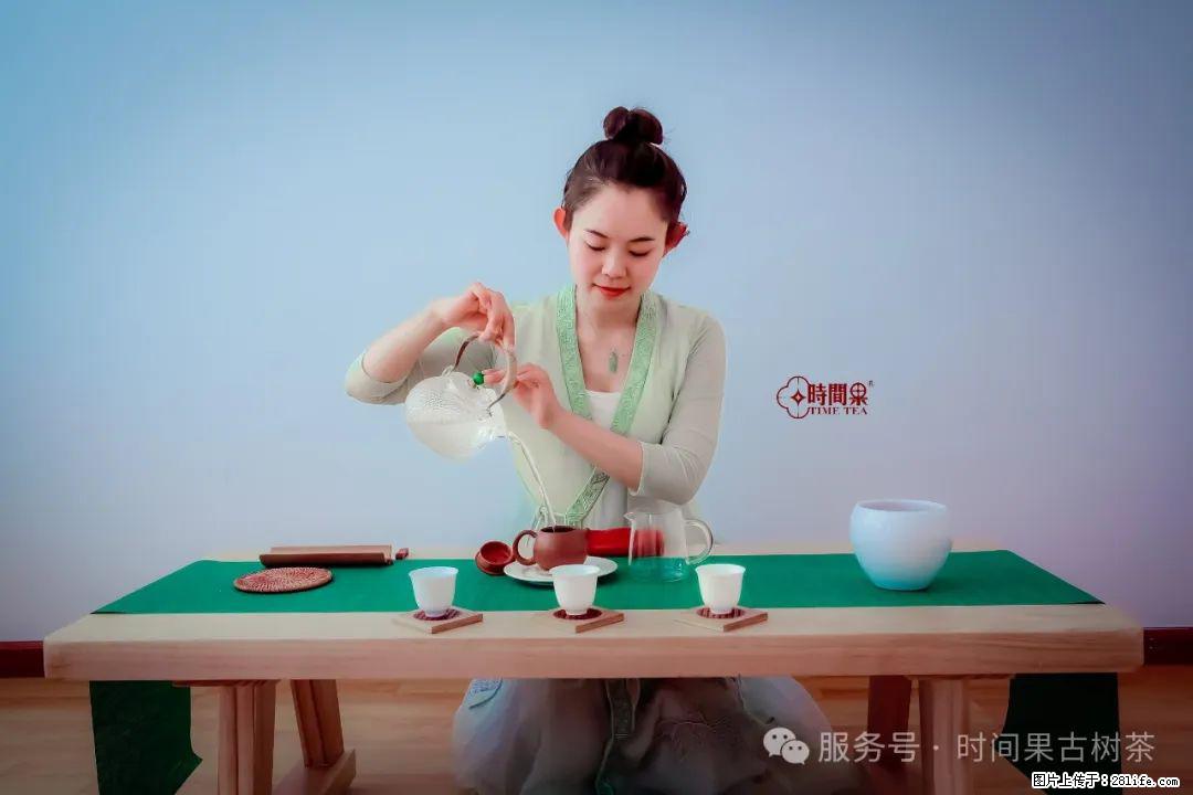 时间果百年古树龙珠普洱生茶 - 购物交流 - 西双版纳生活社区 - 西双版纳28生活网 bn.28life.net