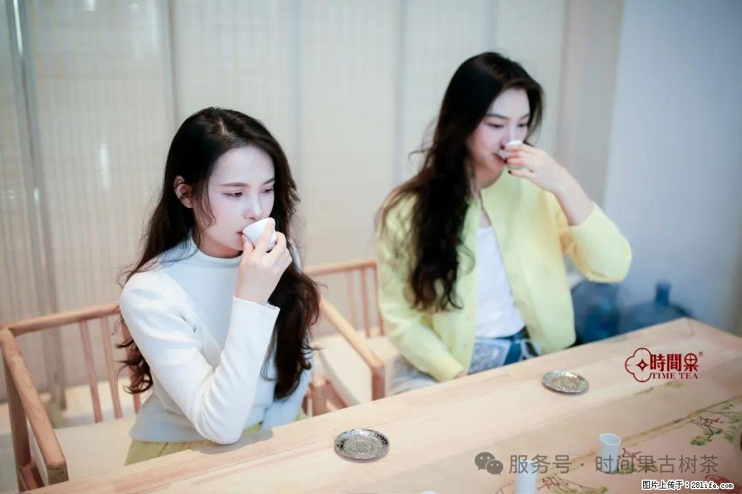 时间果百年古树龙珠普洱生茶 - 购物交流 - 西双版纳生活社区 - 西双版纳28生活网 bn.28life.net