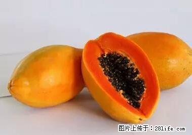 晕车、脚气、牙齿变黄、皮肤粗糙？学会这些三分钟搞定！ - 西双版纳生活资讯 - 西双版纳28生活网 bn.28life.net