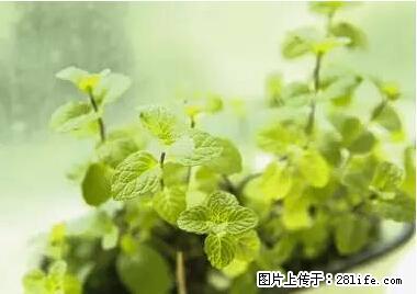 晕车、脚气、牙齿变黄、皮肤粗糙？学会这些三分钟搞定！ - 西双版纳生活资讯 - 西双版纳28生活网 bn.28life.net