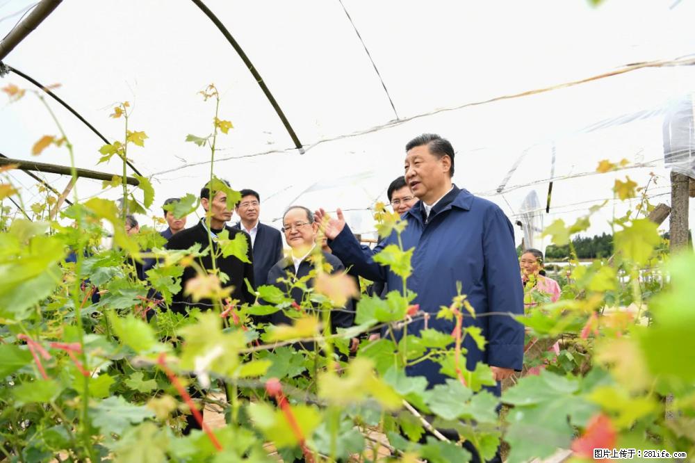 习近平赴广西考察调研 - 西双版纳生活资讯 - 西双版纳28生活网 bn.28life.net