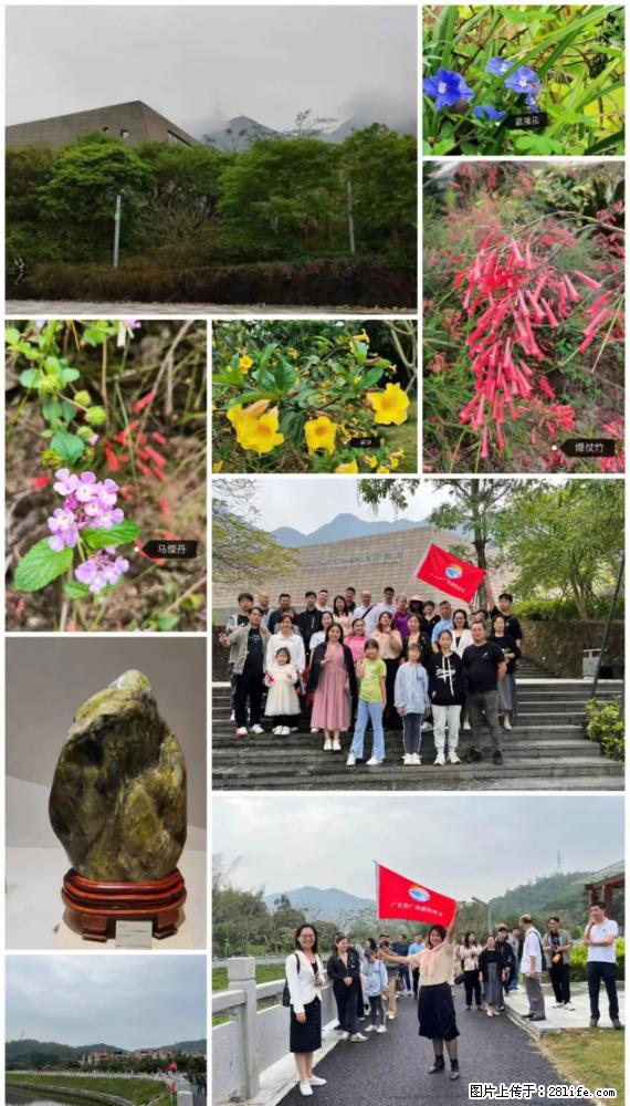 “粤灌文化 美好生活”油茶文化主题活动在广东深圳成功举办 - 西双版纳生活资讯 - 西双版纳28生活网 bn.28life.net