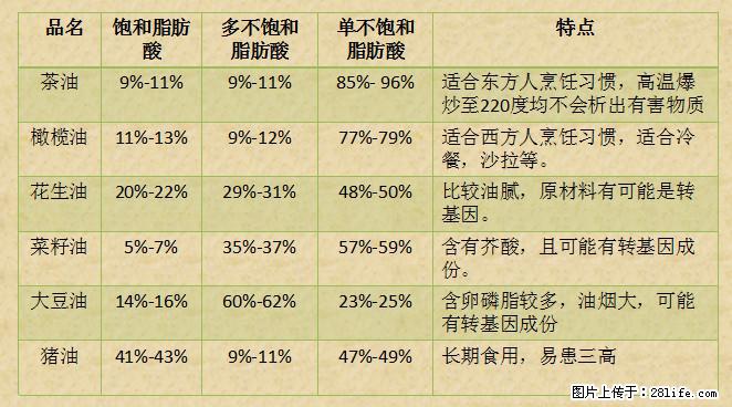 揭秘茶油的5大核心营养成分！被称为人体健康的“守护盾”！ - 西双版纳生活资讯 - 西双版纳28生活网 bn.28life.net