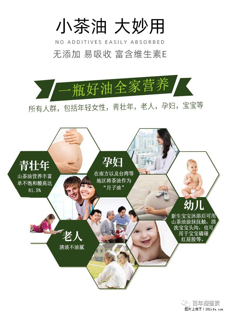 世界没有真相，只有认知，最好的食用油是中国的山茶油！ - 西双版纳生活资讯 - 西双版纳28生活网 bn.28life.net