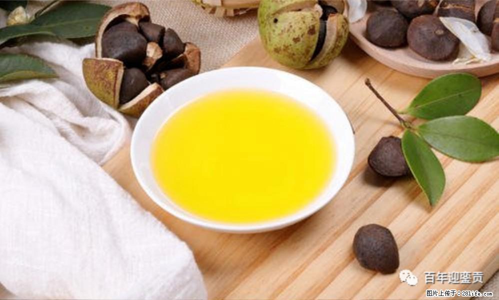世界没有真相，只有认知，最好的食用油是中国的山茶油！ - 西双版纳生活资讯 - 西双版纳28生活网 bn.28life.net