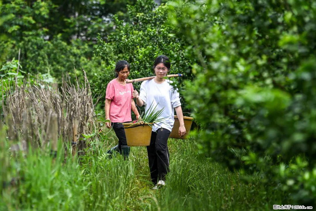 全网追的“扁担女孩”，找了一份暑假工，时薪12元 - 西双版纳生活资讯 - 西双版纳28生活网 bn.28life.net