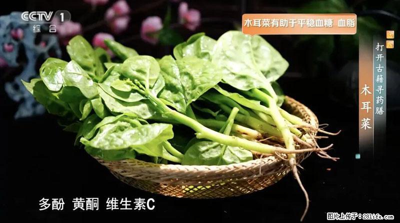 比牛奶补钙还厉害！凉血解毒、稳血糖...这菜冬天必吃，很多人却当草 - 西双版纳生活资讯 - 西双版纳28生活网 bn.28life.net