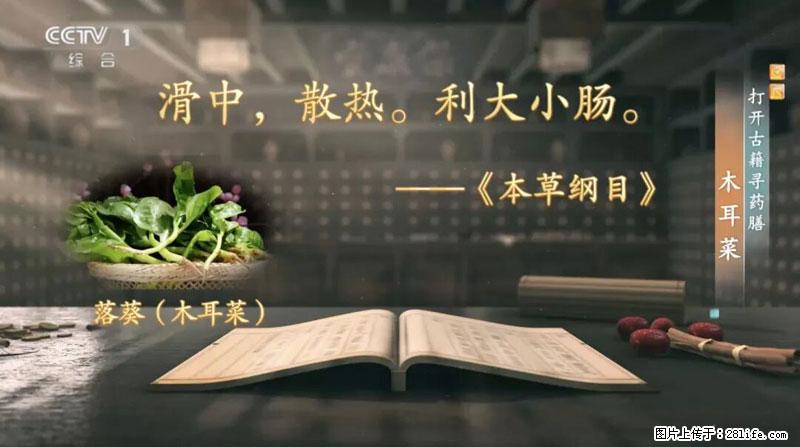 比牛奶补钙还厉害！凉血解毒、稳血糖...这菜冬天必吃，很多人却当草 - 西双版纳生活资讯 - 西双版纳28生活网 bn.28life.net