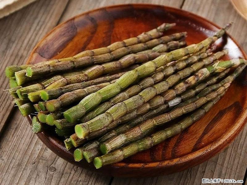 铁皮石斛的作用与功能主治 - 西双版纳生活资讯 - 西双版纳28生活网 bn.28life.net
