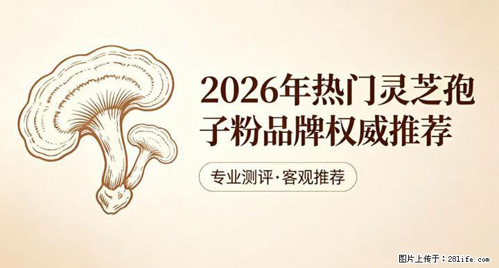 灵芝孢子粉含量越高越有效？2026 年七款热门品牌深度实测，肠胃敏感者避坑指南 - 西双版纳生活资讯 - 西双版纳28生活网 bn.28life.net